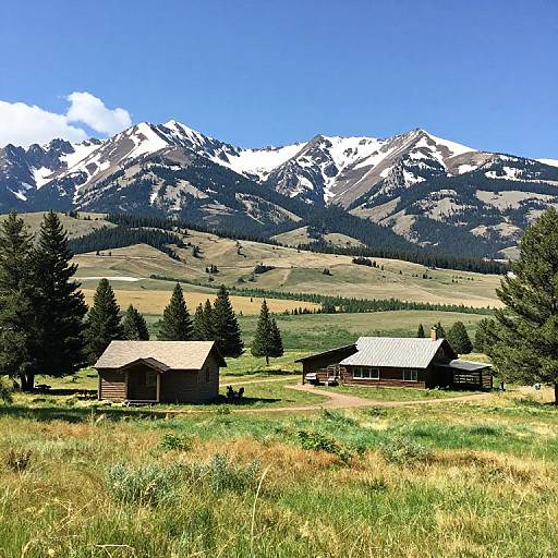 Rustic Cabins in Mountain Meadow