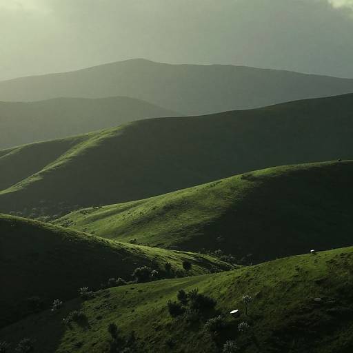Photograph of sunlit, rolling green hills with shadows creating layered, dark green and black textures in the distance, under a misty sky.