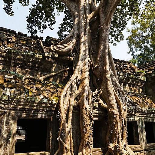 Ancient Stone Building Embraced by Roots