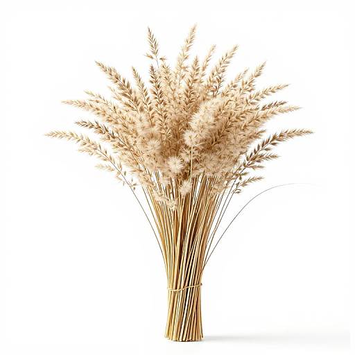 Beige Blooming Grass with Slender Leaves