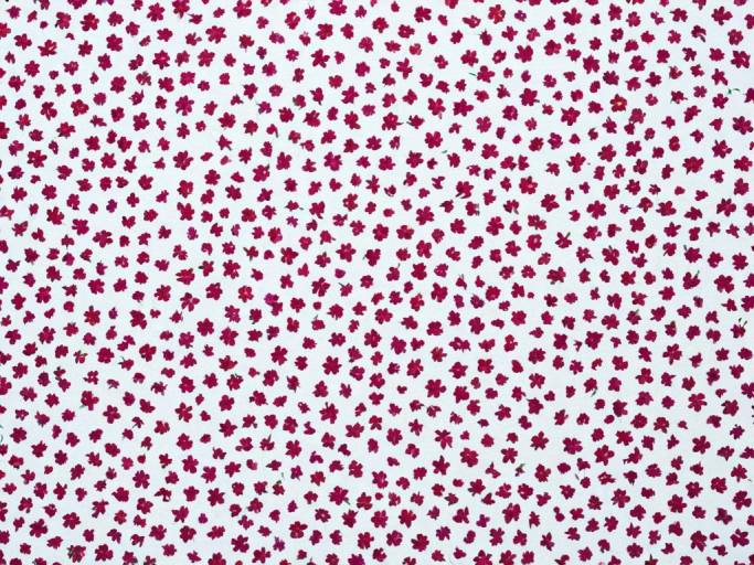 Elegant Floral Pattern Wallpaper Design