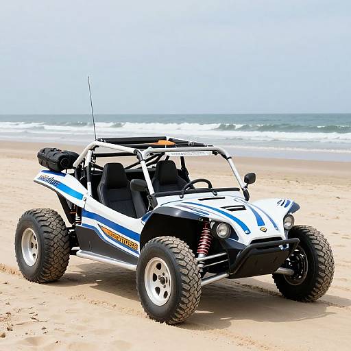 Fun Beach Ride in Meyers Manx