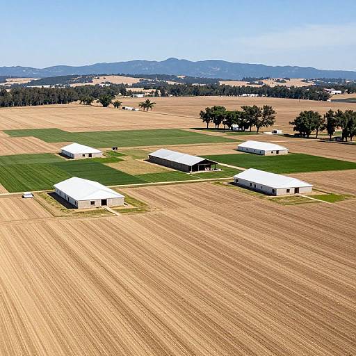 Scenic San Xavier Cooperative Farm