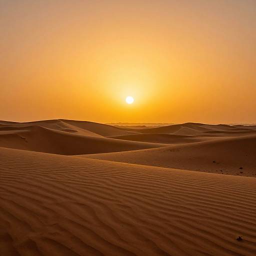 Photograph of a golden sunset over rippled sand dunes, with the sun low on the horizon, casting warm orange and yellow hues.