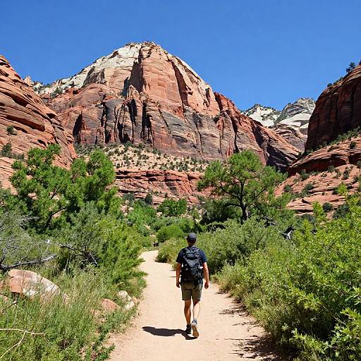 Photograph of a hiker in a black backpack walking on a dirt path through lush greenery, with towering red rock mountains and a clear blue sky