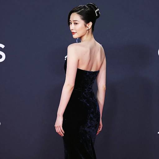 Elegant Opera Singer in Velvet Gown