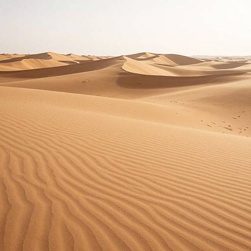 Photograph of a sunlit desert landscape with rippled sand dunes, casting shadows, under a bright white sky. Warm orange hues dominate.