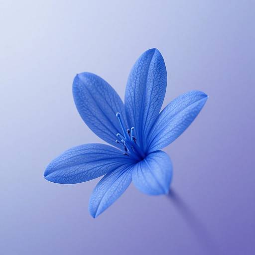 Elegant Blue Flower Macro Detail