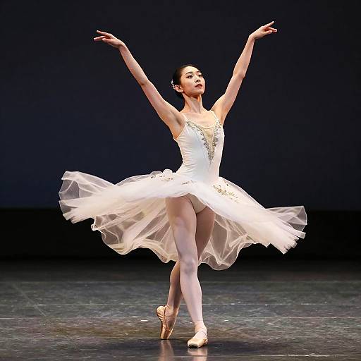 Realistic Elegant Ballet Dancer Pose