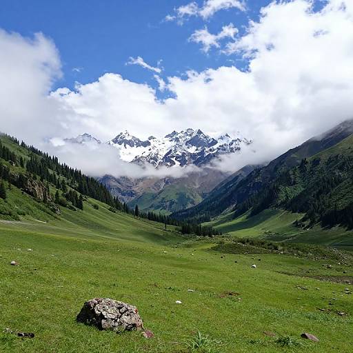 Lush Mountain Valley with Snow-Capped Peaks