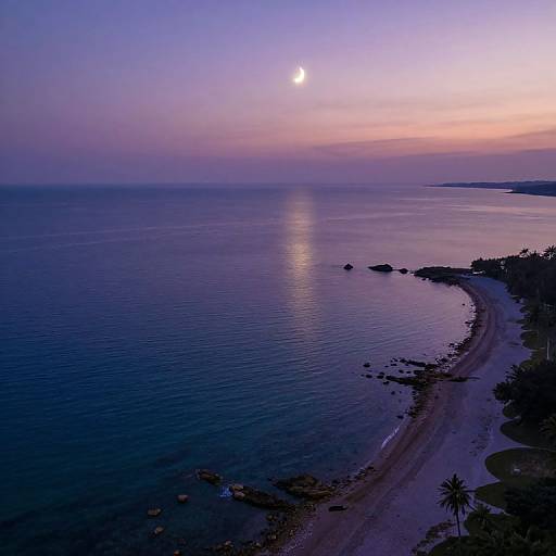 Impressionist Aerial Twilight Coast