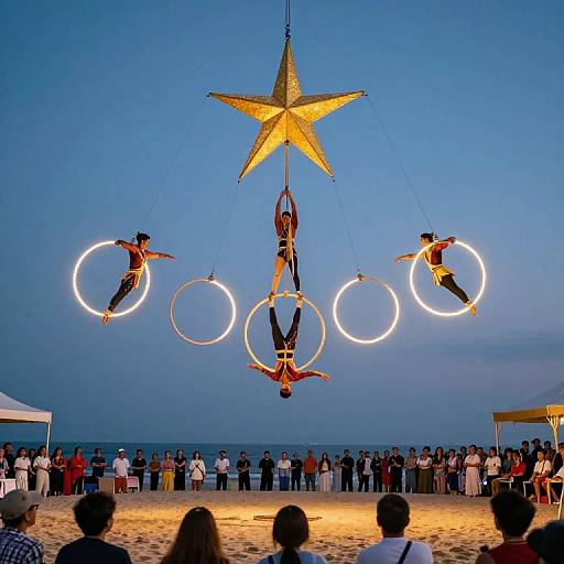 Mesmerizing Circus Aerial Performance
