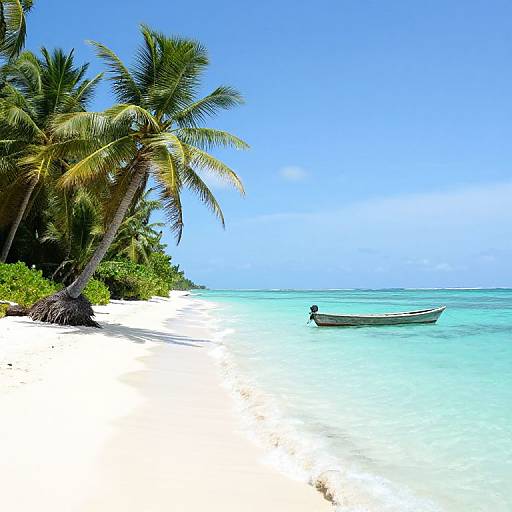 Photograph of a serene tropical beach with white sand, clear turquoise water, leaning palm trees, and a small wooden boat anchored near the shore under a
