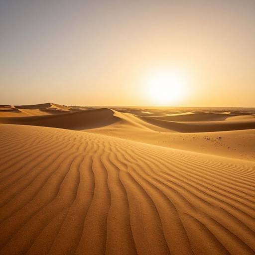 Photograph of a golden desert at sunset, with rippled sand dunes stretching towards a bright, setting sun in a clear sky.