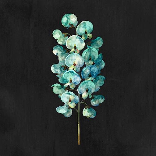 Teal Acacia Watercolor on Black