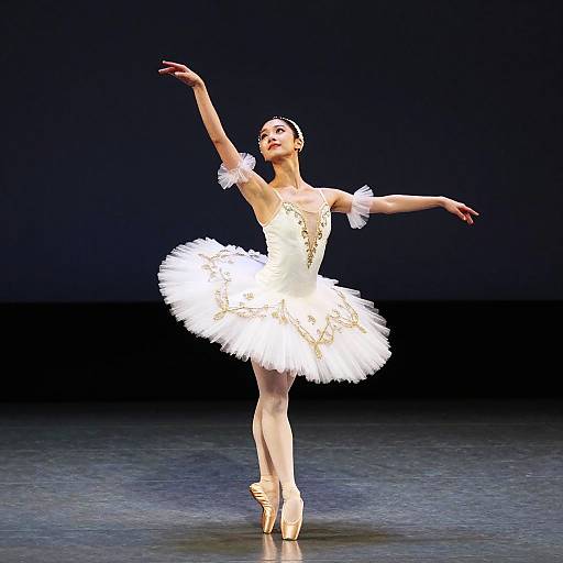 Graceful Ballet Dancer on Stage