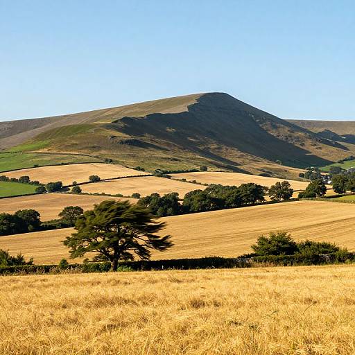 Serene Cambrian Mountain Harvest