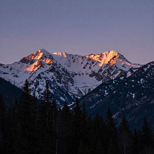 Photograph of a snow-capped mountain range at sunrise, with peaks illuminated in warm orange light, set against a clear blue sky and dark forested