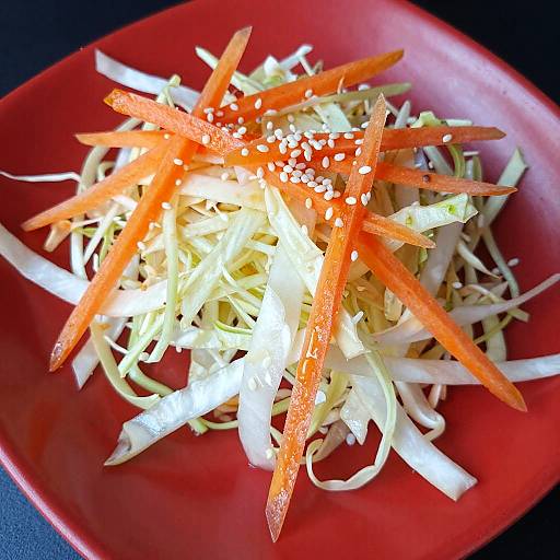 Colorful Fresh Salad on Red Plate