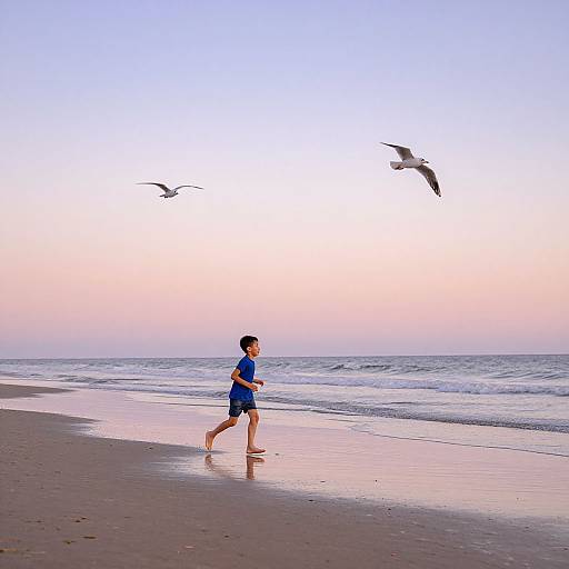 Photograph of a young boy in blue shirt and shorts running along a wet, reflective beach at sunset, with seagulls flying overhead.