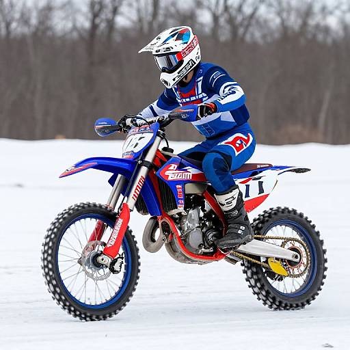 2015 AMA Ice Race Dirt Bike Action