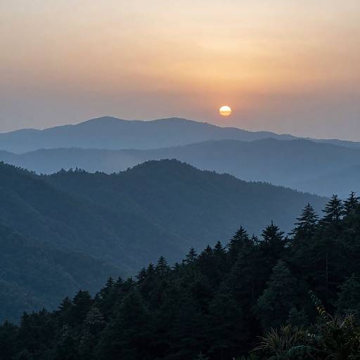 Tranquil Misty Mountain Valleys
