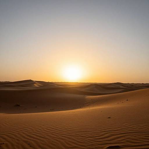 Desert Mirage of Liquid Gold