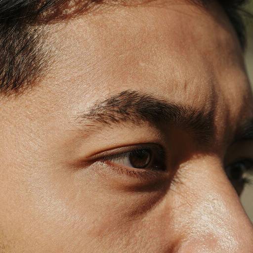 Mexican Forehead Macro Photography