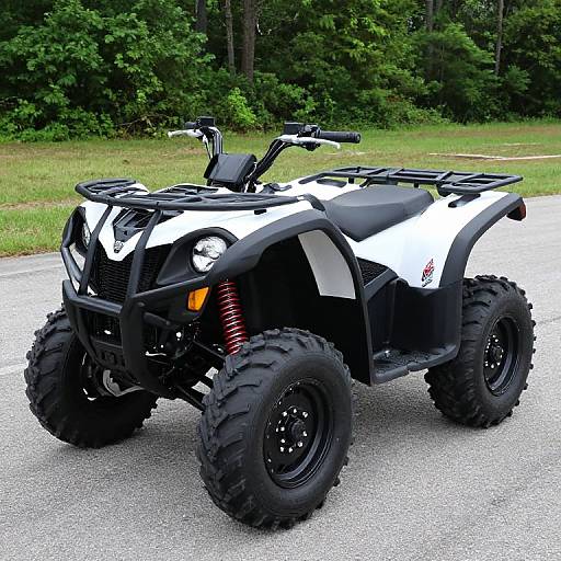 2021 Kawasaki Teryx4 LE in Statesville