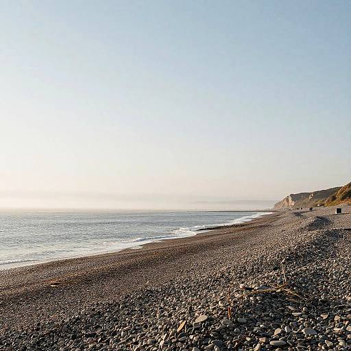 Misty Oceanfront Bluffs at Dawn