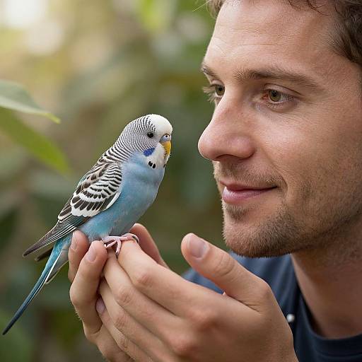 Photograph of a man with short brown hair and light beard, gently holding a blue-and-white budgerigar on his fingers, both gazing at
