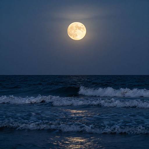 Moonlit Ocean Waves Serenity