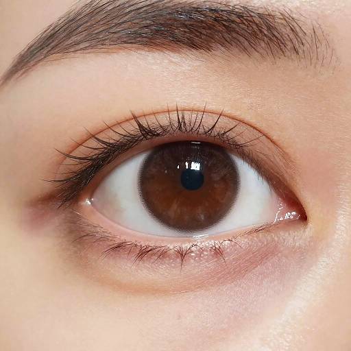 Detailed Brown Eye Close-Up Study