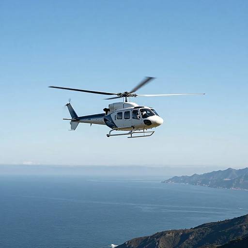 Helicopter Shadow Over Coastal Serenity