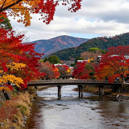 Autumn Serenity at Arashiyama River