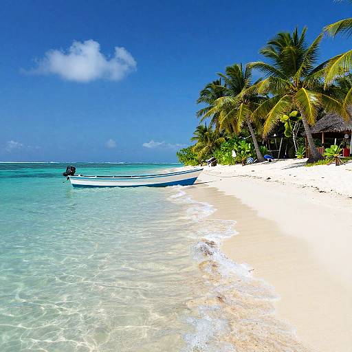 Tropical Island Beach Excursion