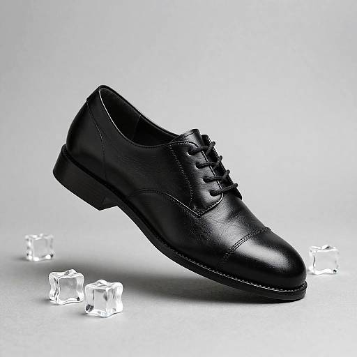 Monochrome Slingback Dress Shoe Art