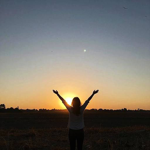 Healing Rhythms of Twilight Migrations