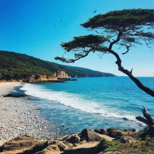Scenic Ocean View Without Humans
