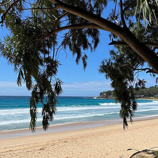Photograph of a sunny beach with golden sand, turquoise waves, and a large, leafy tree branch framing the bright blue sky.