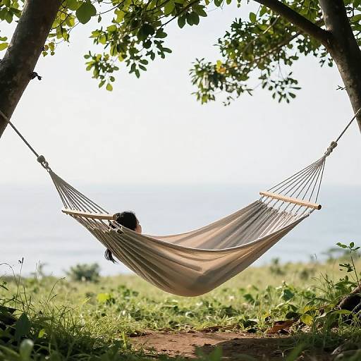Serene Hammock Between Earth and Sky