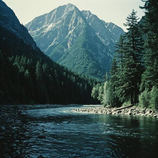 Mountain River and Forest Landscape