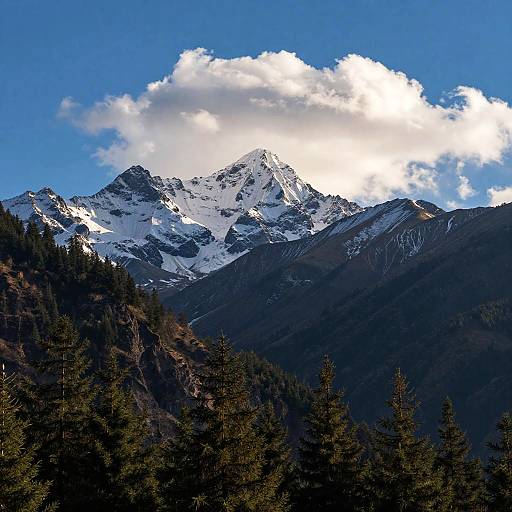 Photograph of a snow-capped mountain peak under a bright blue sky with a large, white cloud, surrounded by dark, forested slopes.