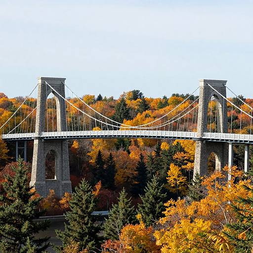 Historic Ryefield Bridge in Autumn