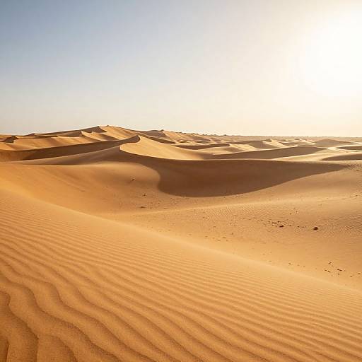 Photograph of a sunlit desert with rippled sand dunes, golden-orange hues, and a bright white sky, creating a stark contrast.