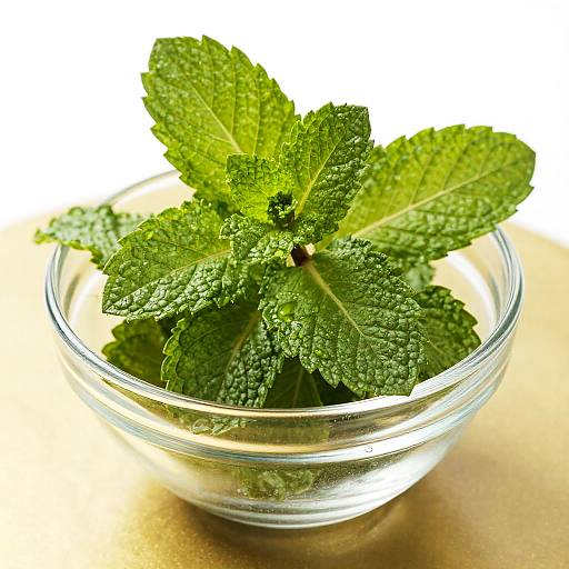 Glass Bowl with Fresh Mint Leaves