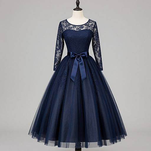 Elegant Navy Blue Lace Tulle Dress