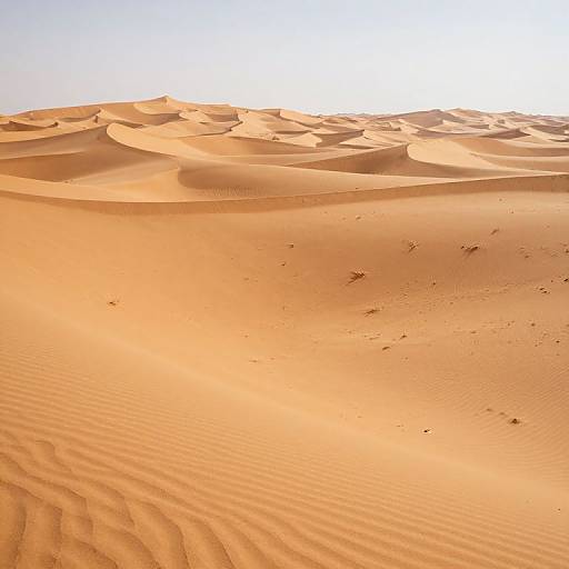 Emotional Color-Shifting Desert Landscapes