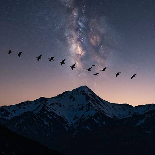 Twilight Mountains and Soaring Birds