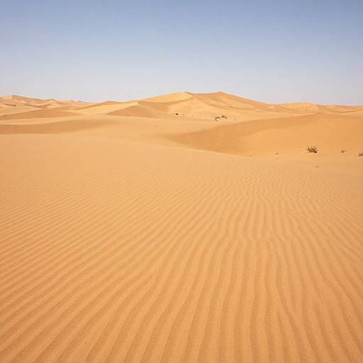 Emotional Shifting Desert Sands